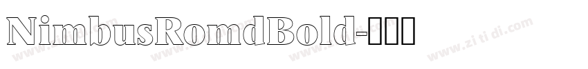 NimbusRomdBold字体转换