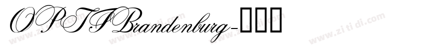 OPTIBrandenburg字体转换