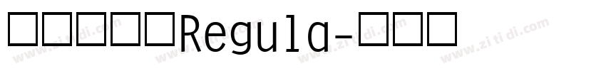 黄引齐招牌Regula字体转换