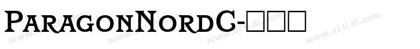 ParagonNordC字体转换