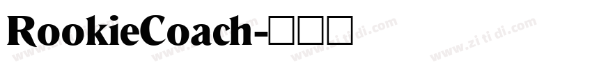 RookieCoach字体转换