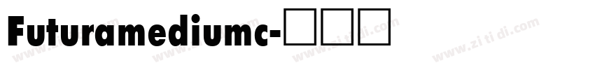 Futuramediumc字体转换