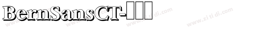 BernSansCT字体转换