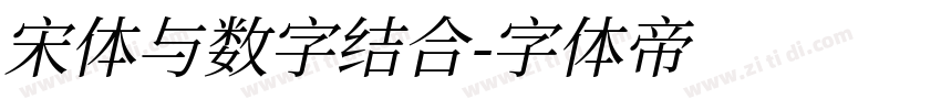 宋体与数字结合字体转换