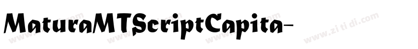 MaturaMTScriptCapita字体转换