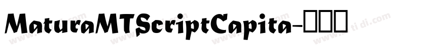 MaturaMTScriptCapita字体转换